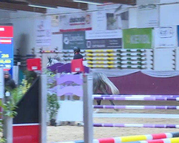 Reitturnier Eicherloh 2025