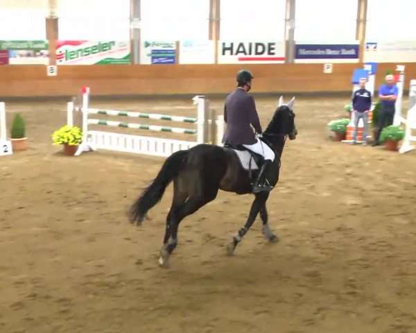 Late-Entry Langenau 2013