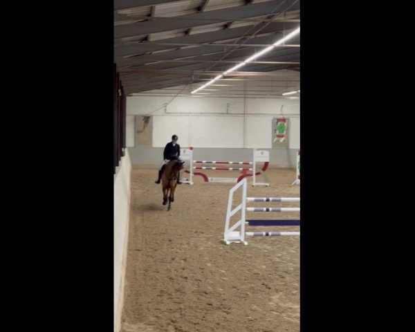 Reitturnier Weinsberg 2025