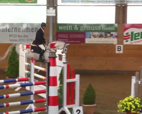 Late-Entry Langenau 2013