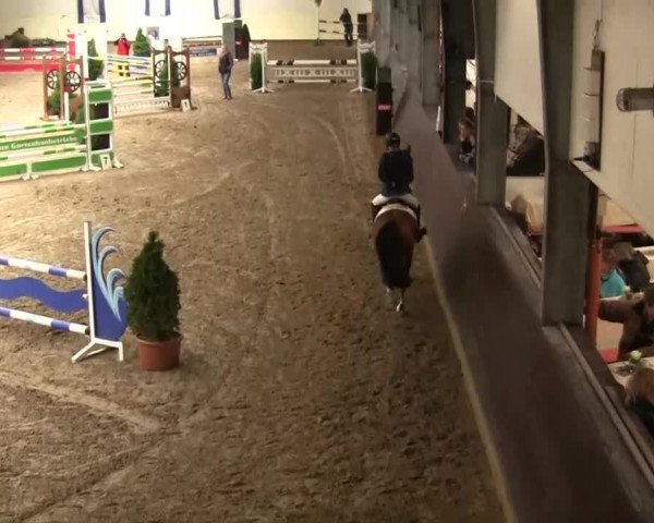 Reitturnier Legden 2013