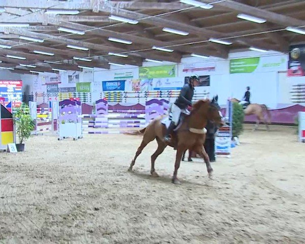 Reitturnier Eicherloh 2025
