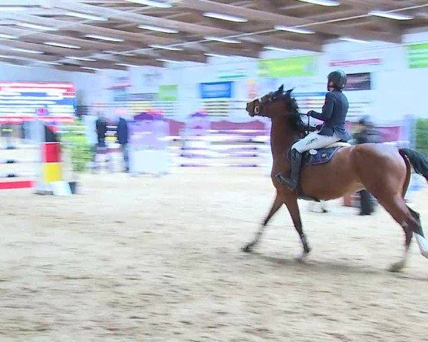 Reitturnier Eicherloh 2025