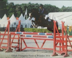 jumper Ismarboy (KWPN (Royal Dutch Sporthorse), 2005)