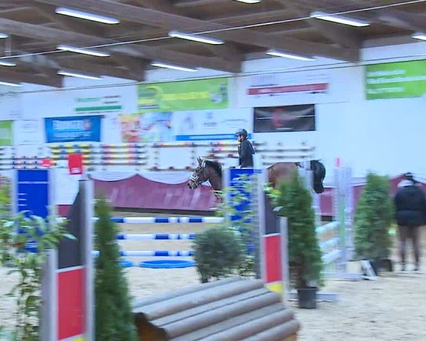 Reitturnier Eicherloh 2025