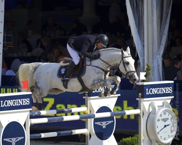 Springpferd Eloma's Blue SFN (KWPN (Niederländisches Warmblut), 2009, von Mr Blue)