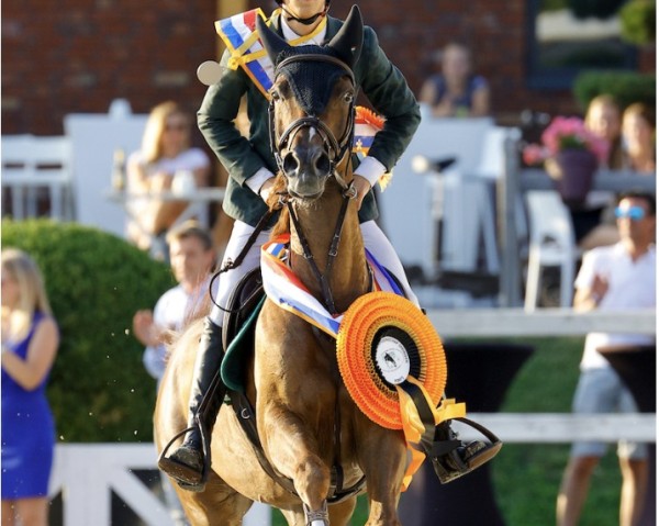jumper Fantasia (German Riding Pony, 2008, from For Kids Only)