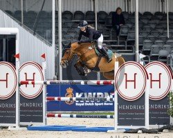 jumper Special Lady (KWPN (Royal Dutch Sporthorse), 2002)