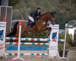 jumper Napalou (Hanoverian, 2013, from Numero Uno)