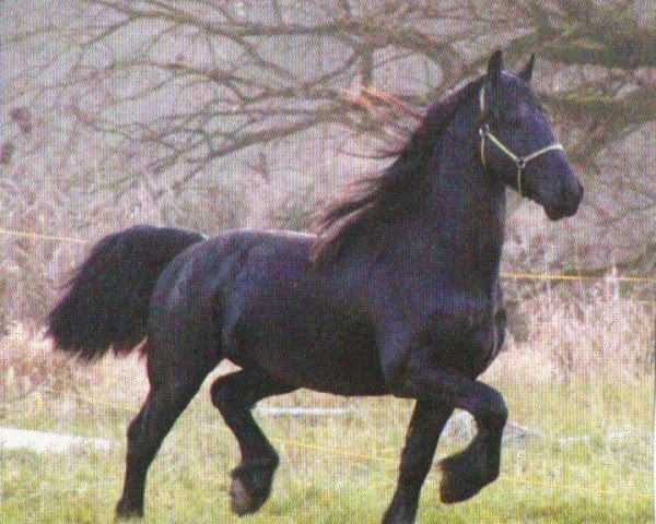 horse Brand (Friese, 2000, from Olof 315 P)