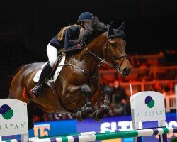 jumper Lookalike B (KWPN (Royal Dutch Sporthorse), 2016, from Glenfiddich VDL)
