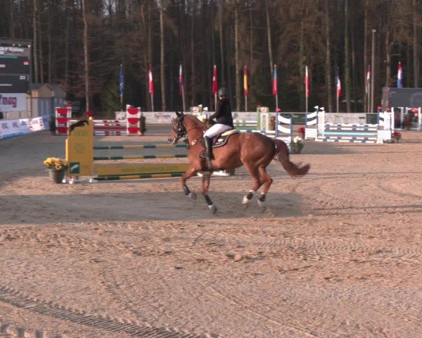 Reitturnier Ranshofen - Braunau am Inn 2025
