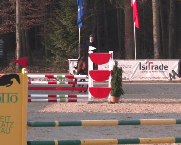 Reitturnier Ranshofen - Braunau am Inn 2025