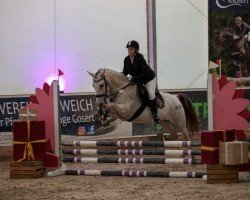 dressage horse Furia (unknown, 2012)
