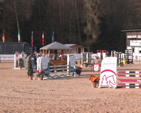 Reitturnier Ranshofen - Braunau am Inn 2025
