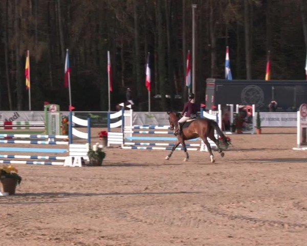 Reitturnier Ranshofen - Braunau am Inn 2025