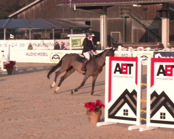 Reitturnier Ranshofen - Braunau am Inn 2025