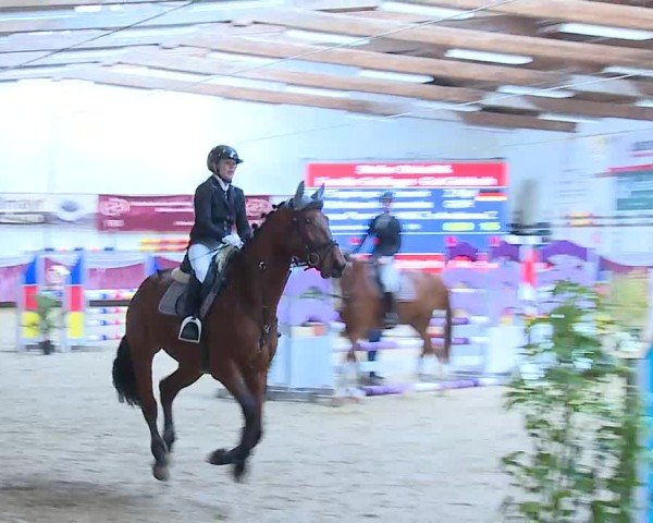 Reitturnier Eicherloh 2025