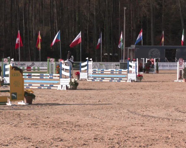 Reitturnier Ranshofen - Braunau am Inn 2025