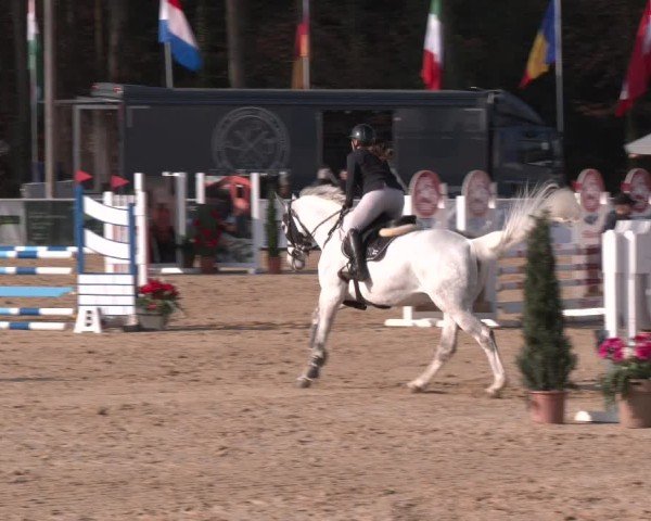 Reitturnier Ranshofen - Braunau am Inn 2025