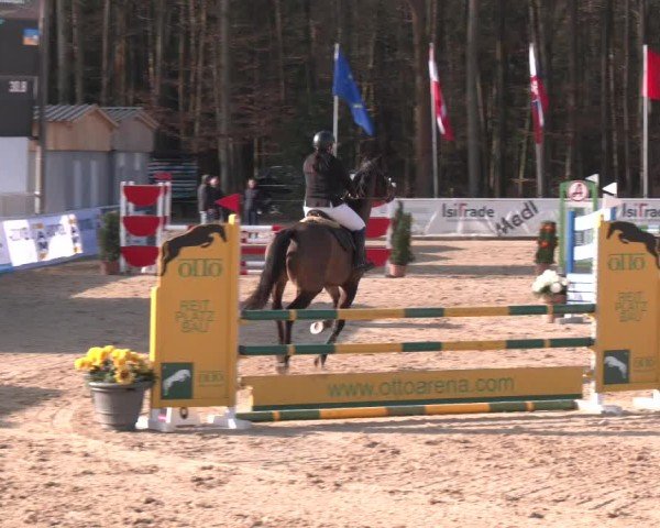 Reitturnier Ranshofen - Braunau am Inn 2025