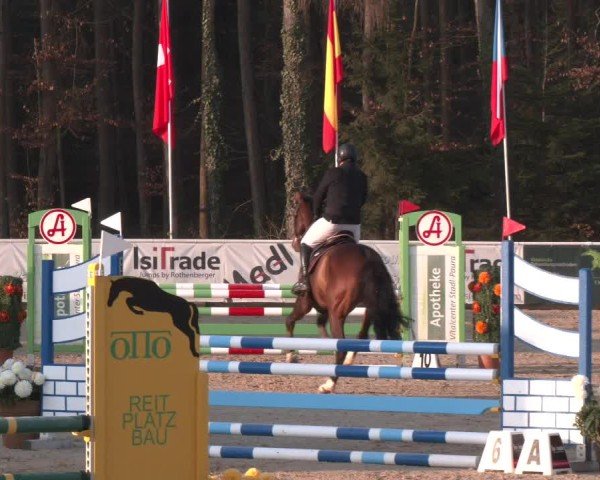 Reitturnier Ranshofen - Braunau am Inn 2025