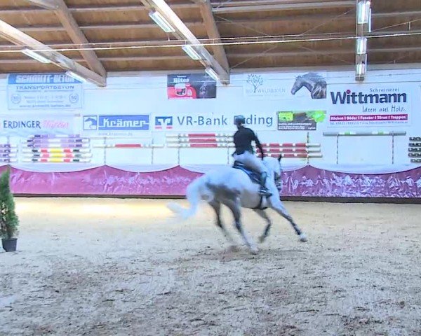 Reitturnier Eicherloh 2025