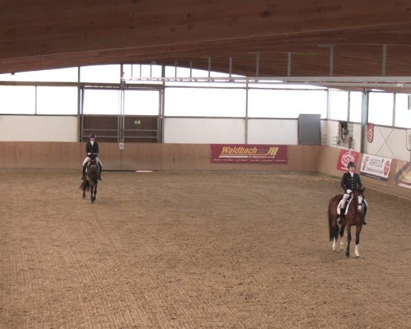 Reitturnier Borgholzhausen 2025