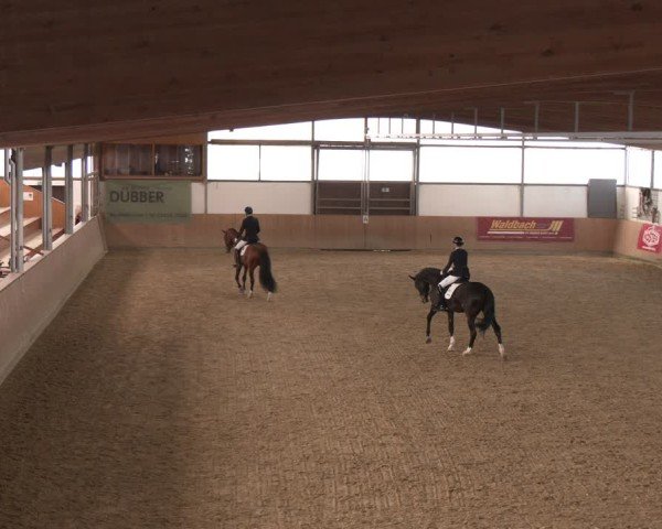 Reitturnier Borgholzhausen 2025
