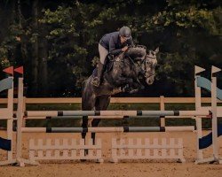broodmare Legend of Amber S.F. (German Sport Horse, 2019, from Cayado 3)