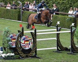 jumper Joie de Vigo R.t. (KWPN (Royal Dutch Sporthorse), 2014, from Vigo d'Arsouilles)