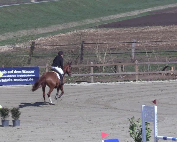 Reitturnier Scharnebeck 2025