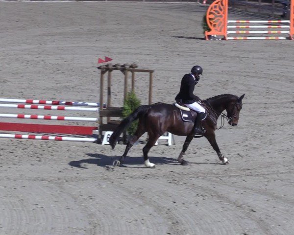 Reitturnier Scharnebeck 2025