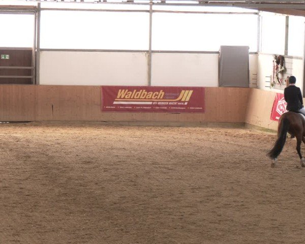 Reitturnier Borgholzhausen 2025