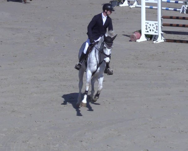 Reitturnier Scharnebeck 2025