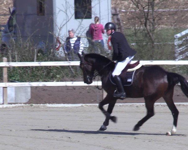 Reitturnier Scharnebeck 2025