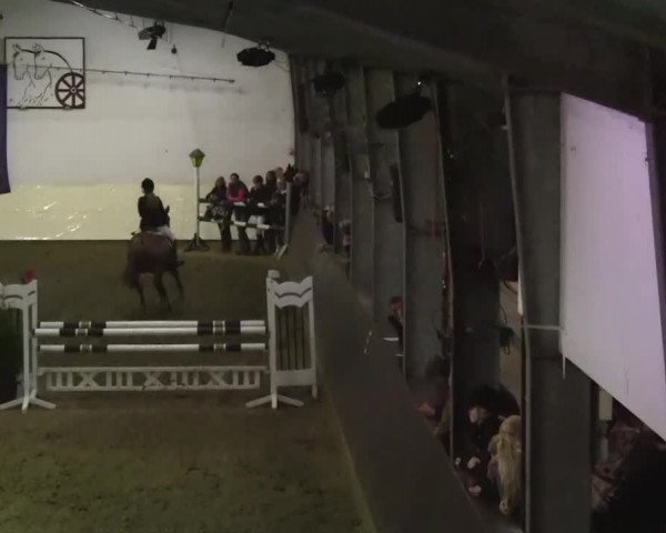 16. Legdener Pony-Meeting