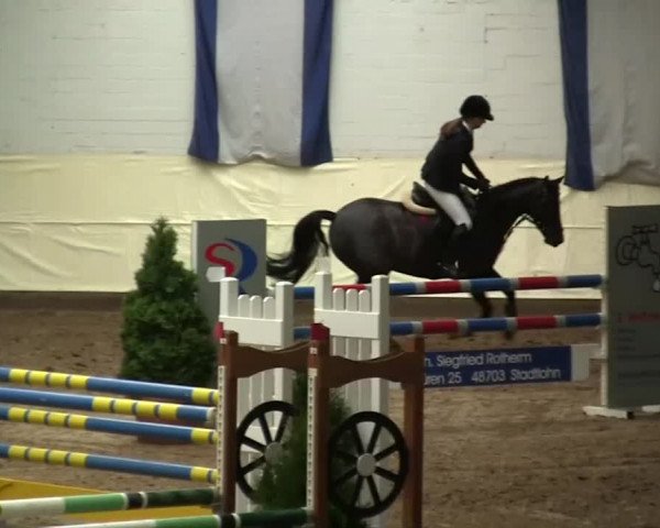 16. Legdener Pony-Meeting