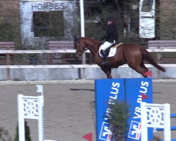 Reitturnier Scharnebeck 2025
