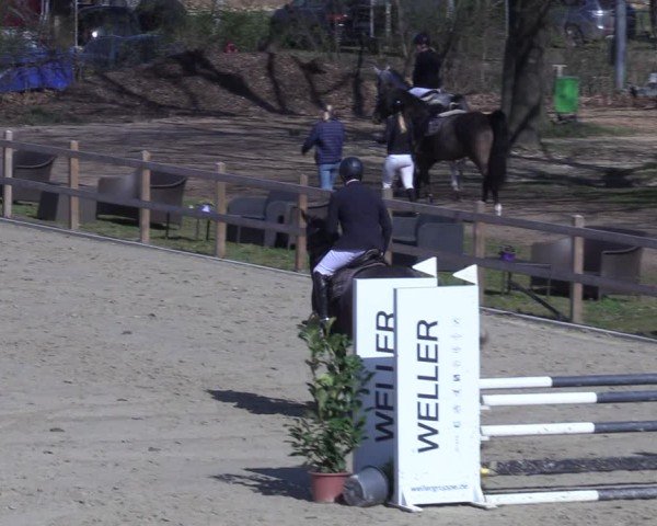 Reitturnier Scharnebeck 2025