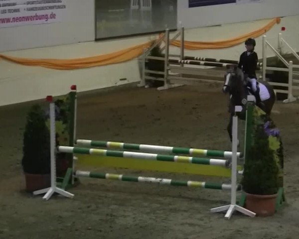 16. Legdener Pony-Meeting