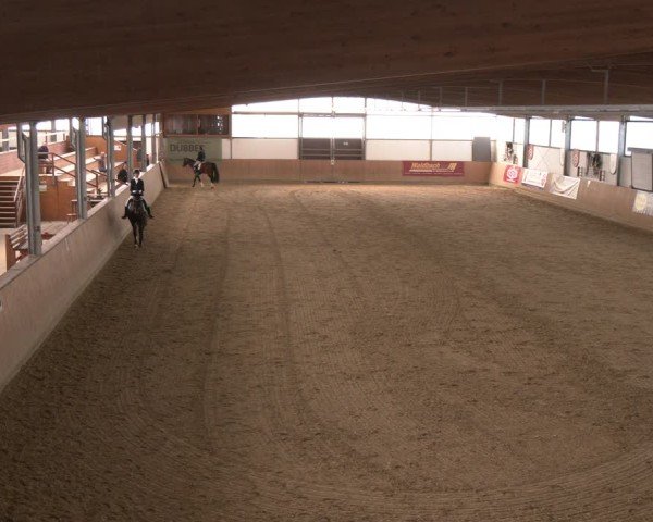 Reitturnier Borgholzhausen 2025