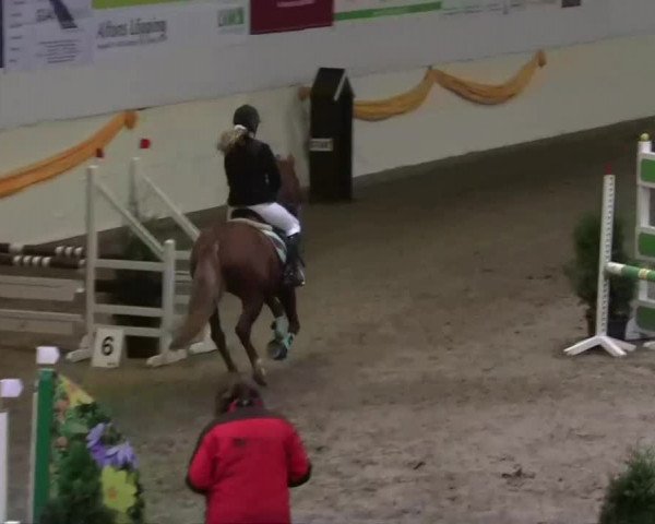 16. Legdener Pony-Meeting