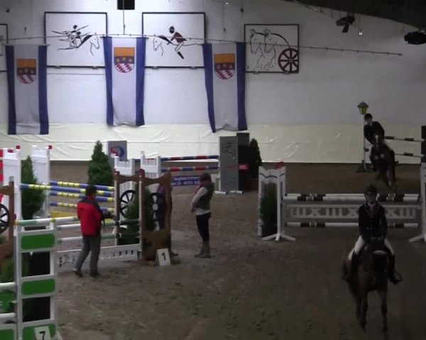 16. Legdener Pony-Meeting