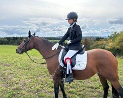 Dressurpferd Cho Chang (Deutsches Reitpony, 2011)
