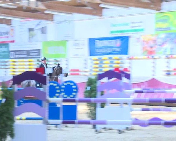 Reitturnier Eicherloh 2025