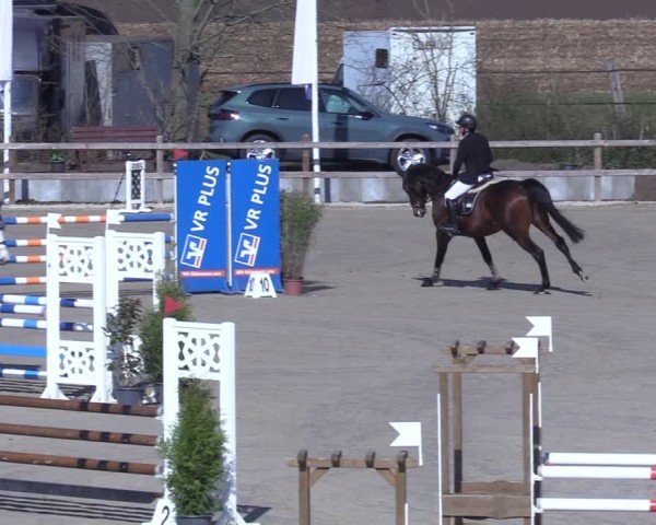 Reitturnier Scharnebeck 2025