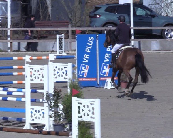 Reitturnier Scharnebeck 2025