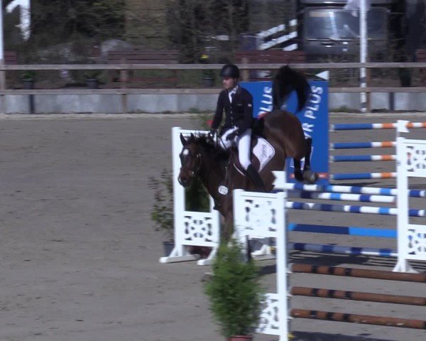 Reitturnier Scharnebeck 2025