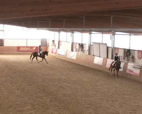 Reitturnier Borgholzhausen 2025